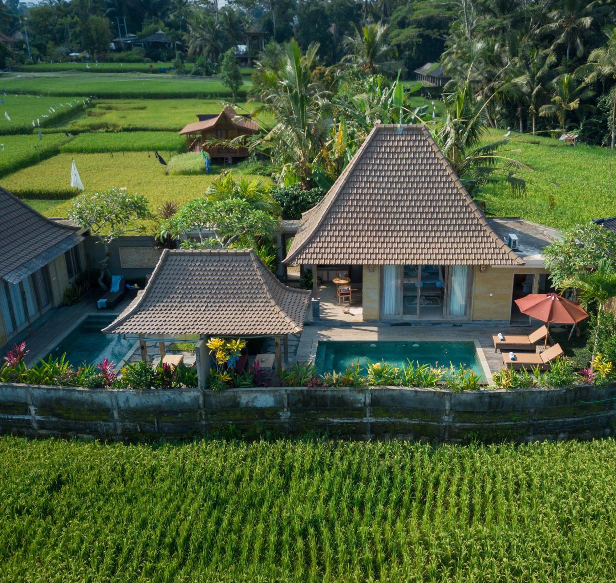 Happy Honeymoon Private Villa Ubud Esterno foto